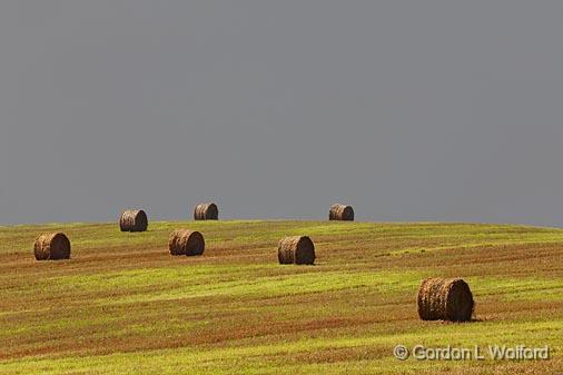 Bales On A Hill_05582.jpg - Photographed near Peterborough, Ontario, Canada.